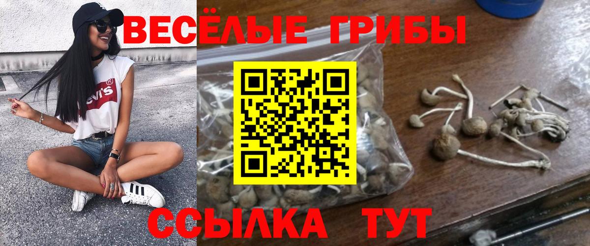 Галлюциногенные грибы MAGIC MUSHROOMS Балашов